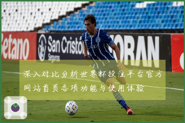 深入对比分析世界杯投注平台官方网站首页各项功能与使用体验