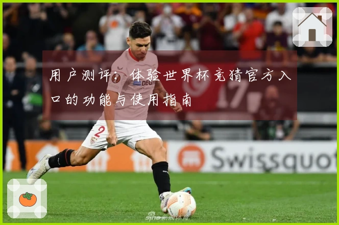 用户测评：体验世界杯竞猜官方入口的功能与使用指南