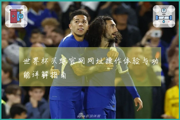 世界杯买球官网网址操作体验与功能详解指南