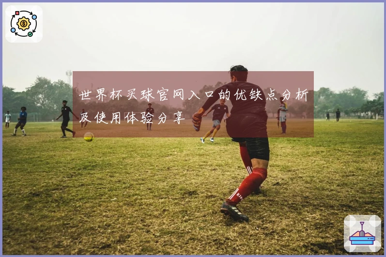 世界杯买球官网入口的优缺点分析及使用体验分享
