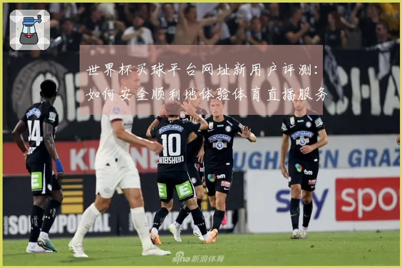 世界杯买球平台网址新用户评测：如何安全顺利地体验体育直播服务