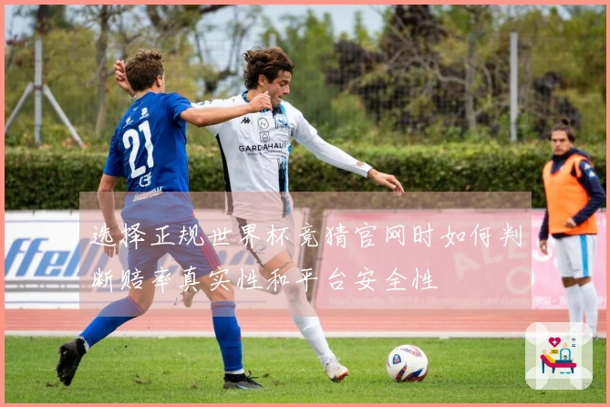 选择正规世界杯竞猜官网时如何判断赔率真实性和平台安全性