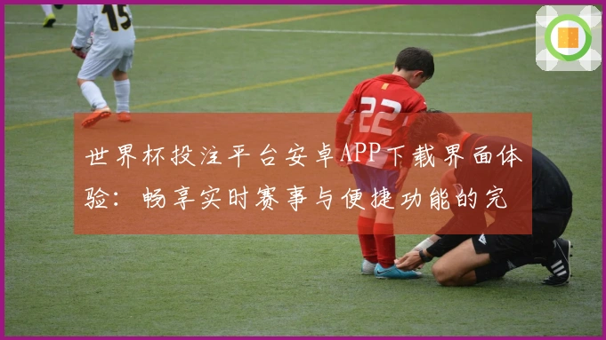 世界杯投注平台安卓APP下载界面体验：畅享实时赛事与便捷功能的完美结合