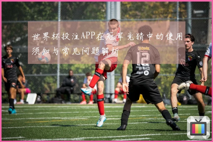 世界杯投注APP在冠军竞猜中的使用须知与常见问题解析