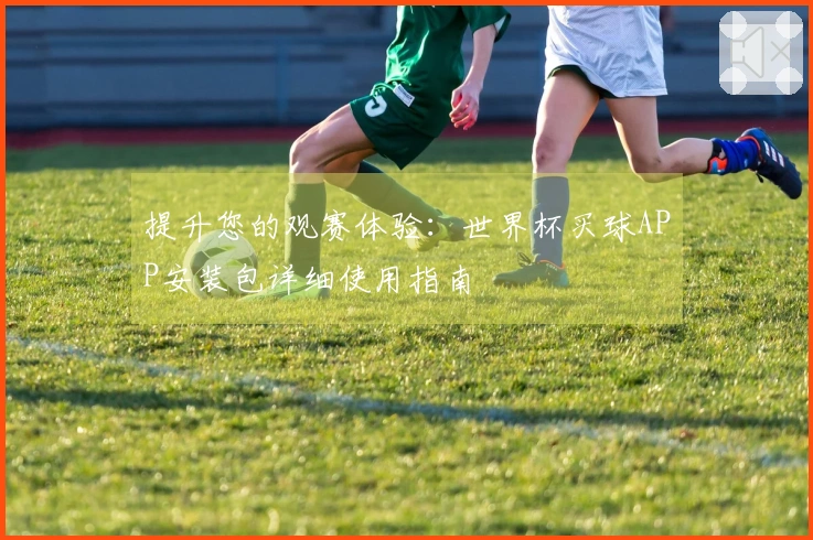 提升您的观赛体验：世界杯买球APP安装包详细使用指南
