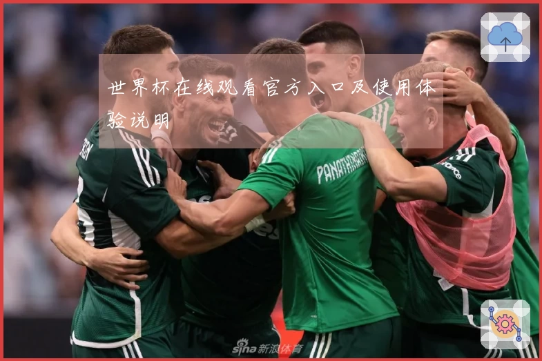 世界杯在线观看官方入口及使用体验说明