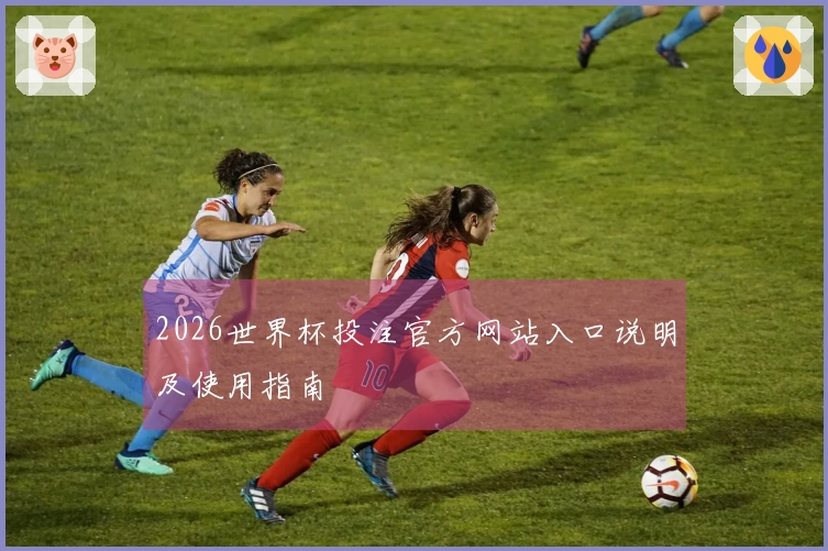 2026世界杯投注官方网站入口说明及使用指南
