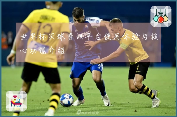 世界杯买球资讯平台使用体验与核心功能介绍