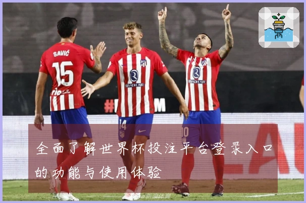 全面了解世界杯投注平台登录入口的功能与使用体验