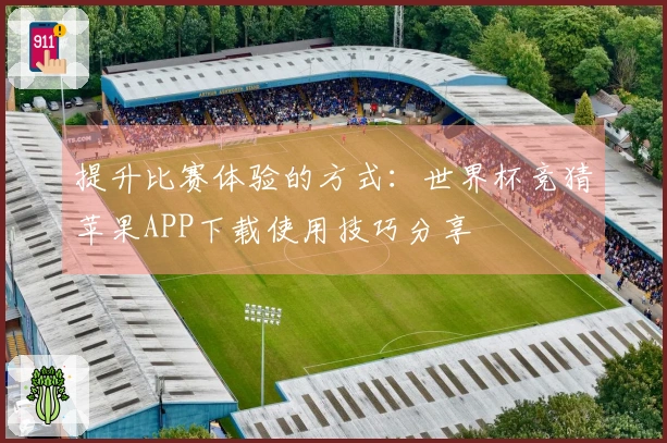 提升比赛体验的方式：世界杯竞猜苹果APP下载使用技巧分享